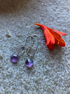 Amethyst Circle and Stone Earrings